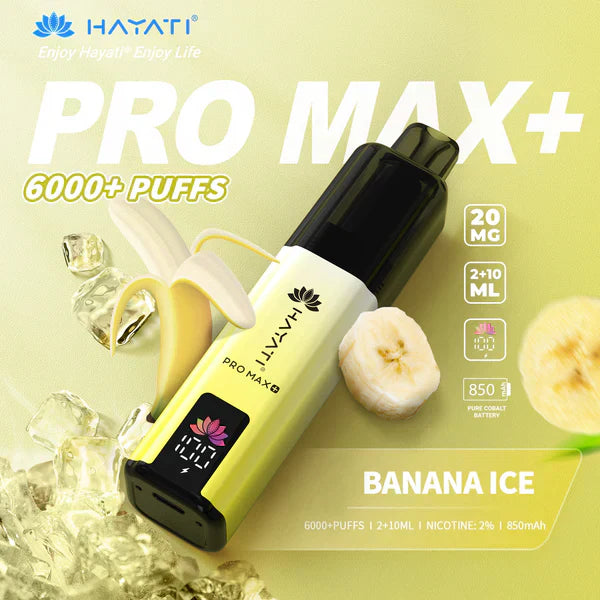 Hayati Pro Max+ 6000 Puffs Disposable Vape (Box of 5)  