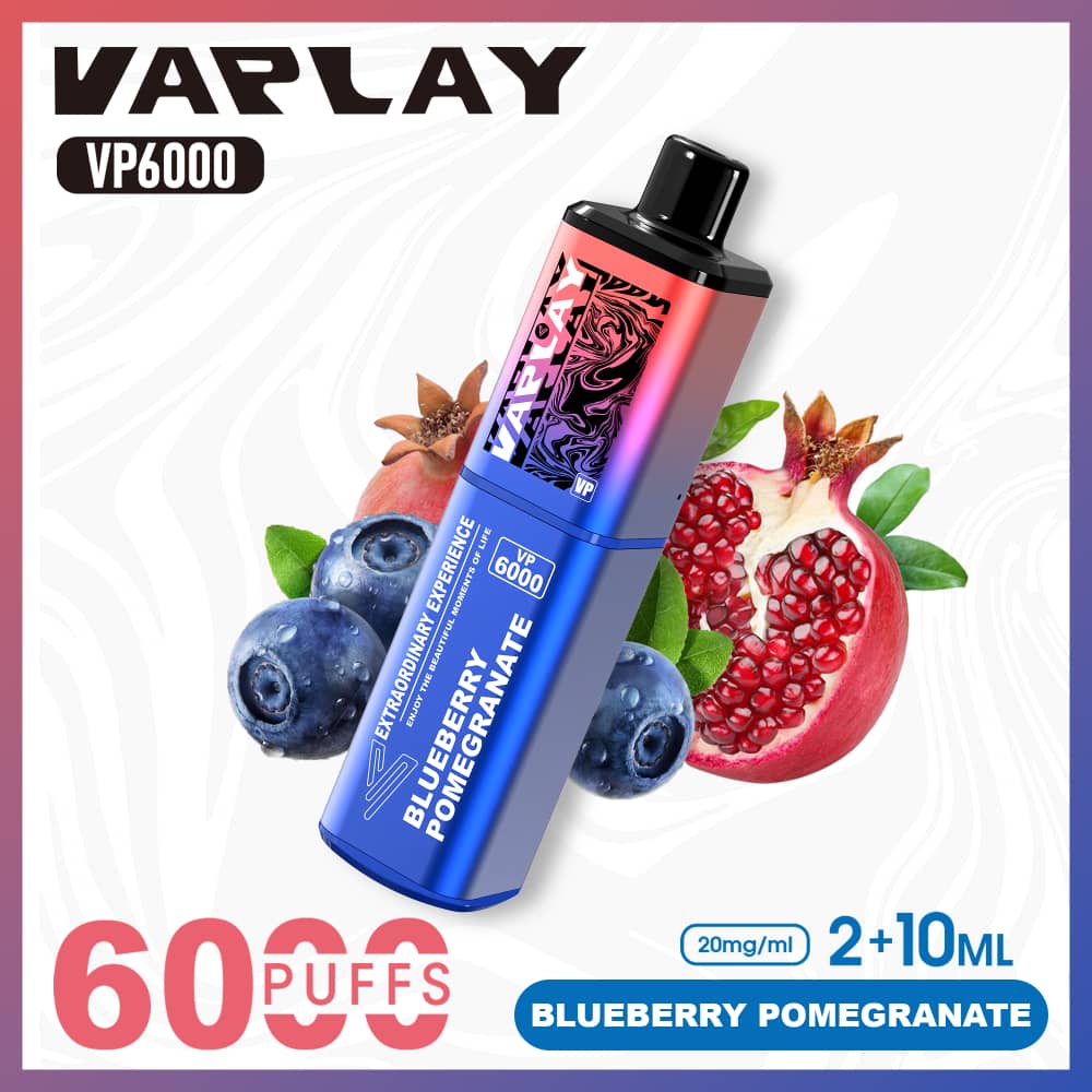 Vaplay VP6000 Disposable Vape 